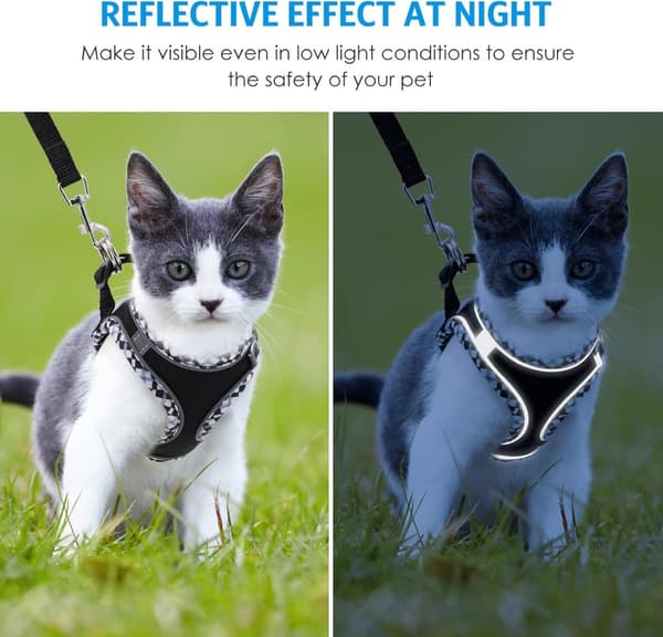 Adjustable Dog and Cat Harness with Leash, Reflective and Soft, Secure Fit, XXS