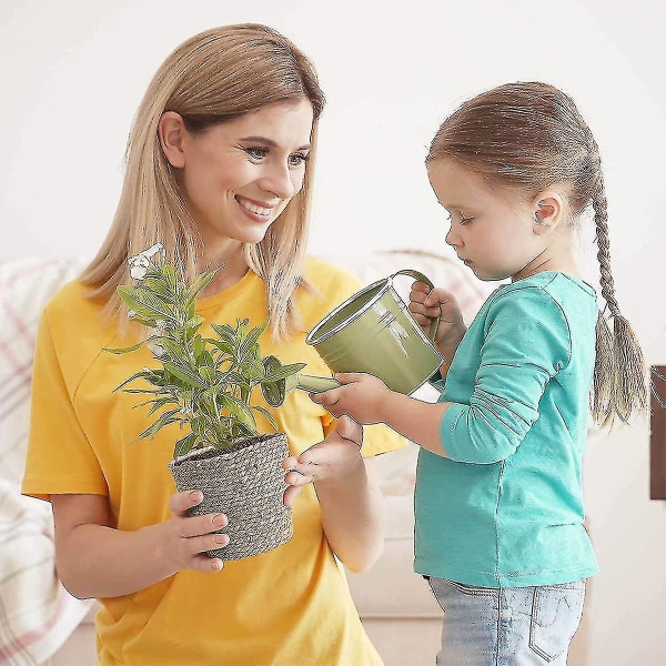 2 stk. Plante Kurv Søgræs Kurv Blomster Kurv Håndvævet Blomsterkrukker Halm Blomsterpotte