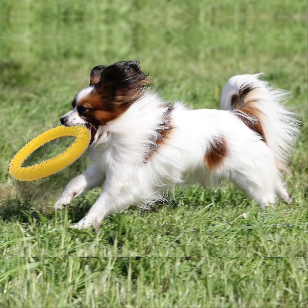 Hunde Fitness Ring, Hunde Bid Ring, Hunde Agility Træningsudstyr, Interaktiv Træk-Krig Træningsring Til Små Og Store Hunde29cm(gul,stor)
