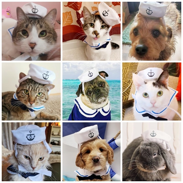 Sømandskostume til kæledyr til katte Små hunde Halloween Kattesømandshat med slips Krave Hunde Marine Outfit Cosplay Beklædning