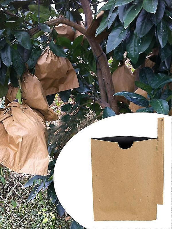 100-pack Fruktskyddspåsar Massapapper Trädgårdsväxt Fruktskyddspåsar 150*180mm