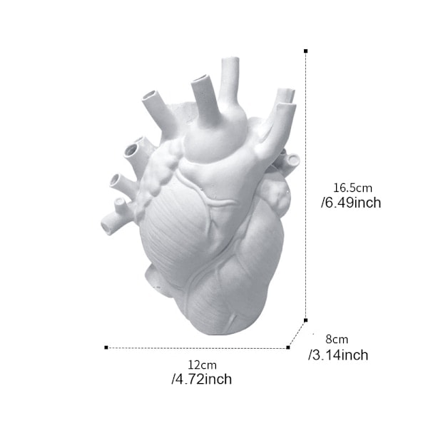 Hjärta Resin Blomkruka Anatomisk Hjärta Form Staty Kreativt Hantverk Ornament För Hem Vardagsrum Balkong Dekoration Vit