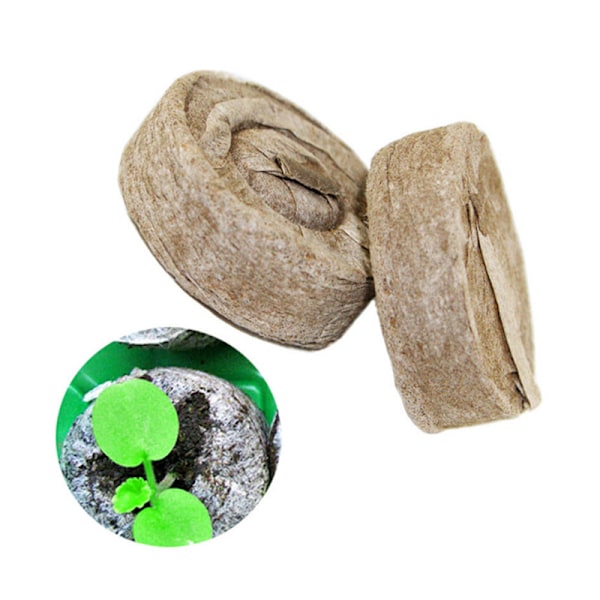 Komprimerte frøstarterpellets 10PCS Coco Coir Fiber Næringsstoffer Pods Plante Start Potting Jord Torvfri Barnehage Jordblokk