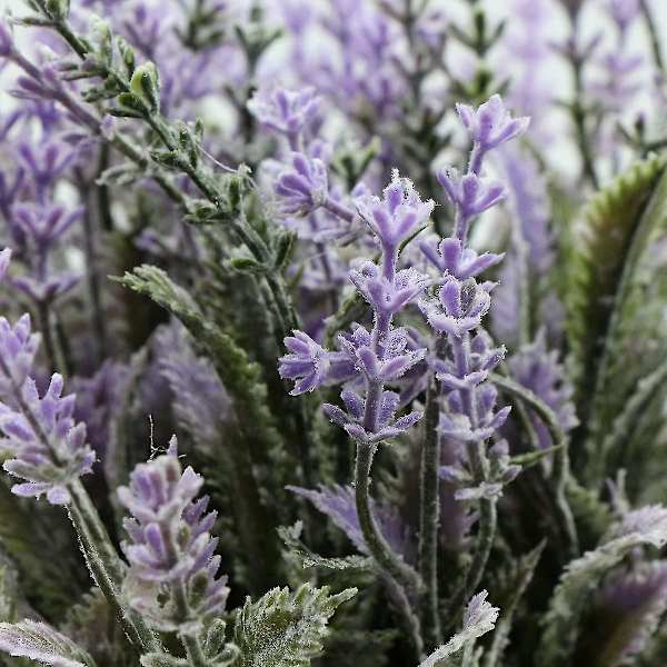 Konstgjorda växter inomhus krukväxt Simuleringkonstgjord blomma, Hem balkong vardagsrum sovrum Grön dekoration, skrivbordsdekorationer, lila lavendel, Wr