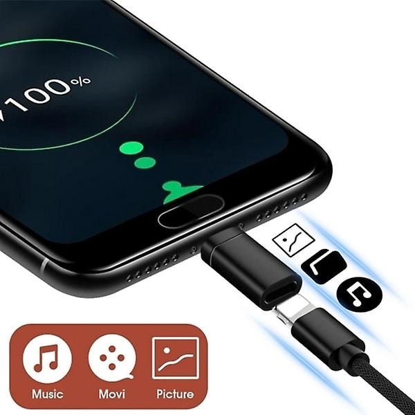 Lightning till USB-C hane svart