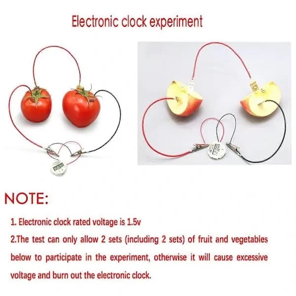 [RM]Fruit Battery Science Experiment Kit for Homeschooling Toy, Lemon Potato Battery Physics Teaching Ex