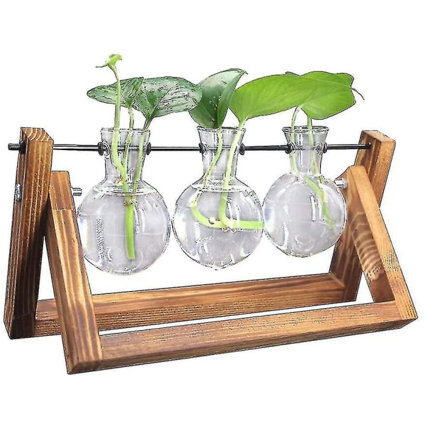 Deco trähållare med hydroponics glasvas hängande vas Blomvase Bordsvas Dekorativ vas