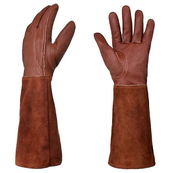 Långa läderträdgårdshandskar för kvinnor och män, taggfria handskar