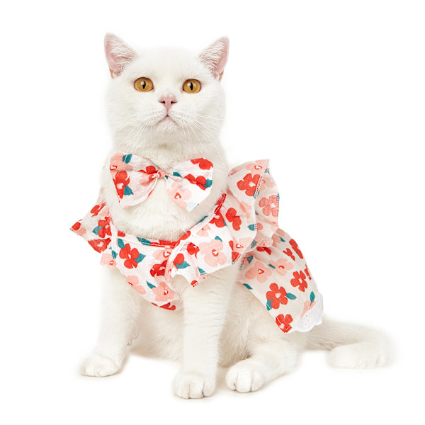 Kissan prinsessamekko Flutter-hiha söpö mukava puuvilla elegantti koiranmekko kevääseen kesään kukka M