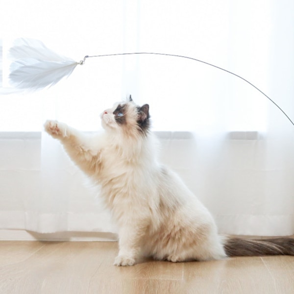 Katt Leksak Elastisk Tråd Interaktiv Fjäder Retande Pol Katt Leksak för Uttråkade Inomhus Katter Jaga och Träna Blå