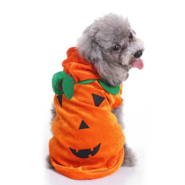 Hundkläder, Halloween-hSLUSdjurskläder, PumpakostSLYMer L