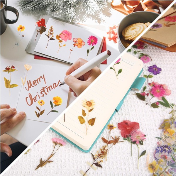 320 stk gjennomsiktige pressede blomsterklistremerker for scrapbooking PET natur plante klistremerker blomsterklistremerker