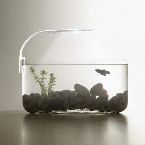 LED Akvarielampe med Hvidt og Blåt Lys, 2.5A, Hvid