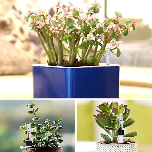 10-pak jordfugtighedsmåler, 20 cm plantevandstandsindikator, vandstandsindikator, jordfugtighed