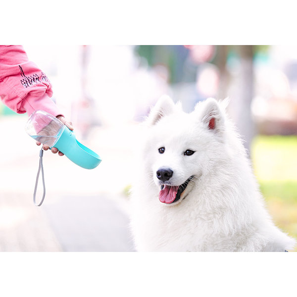 Hunde Vanddispenser, Kæledyr Vanddispenser, 550ml, Blå
