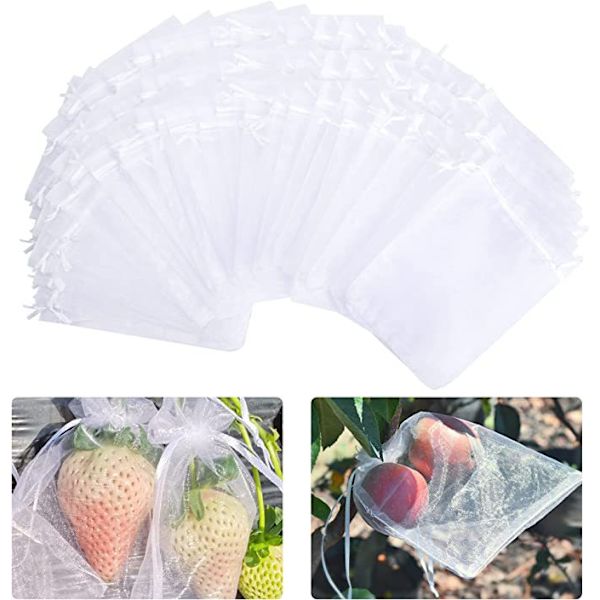 100 st buntskydds påse grapefrukt organza påse-10*12cm-vit