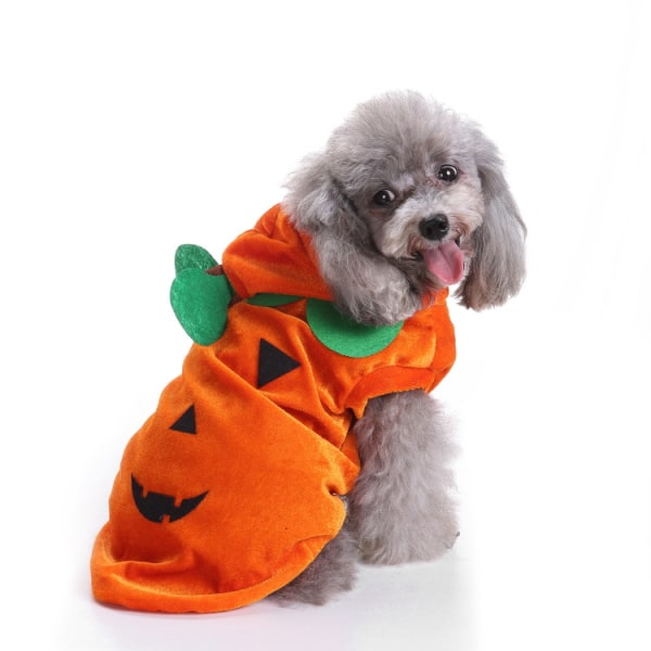 Hundkläder, Halloween-hSLUSdjurskläder, PumpakostSLYMer L