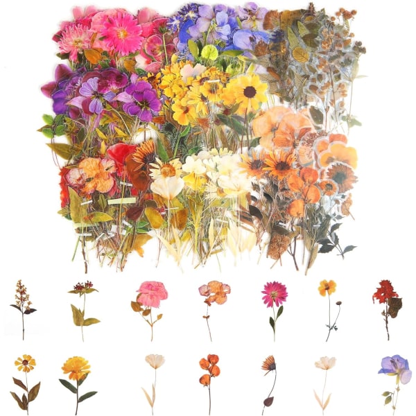 320 stk. gennemsigtige pressede blomsterklistermærker til scrapbooking PET natur plante klistermærker blomsterklistermærker