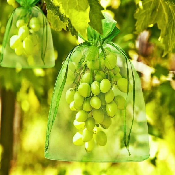 100 st buntskydds påse grapefrukt organza påse-10*15cm-vit