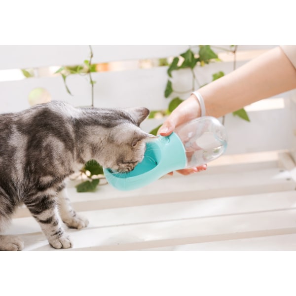 Hunde Vanddispenser, Kæledyr Vanddispenser, 550ml, Blå