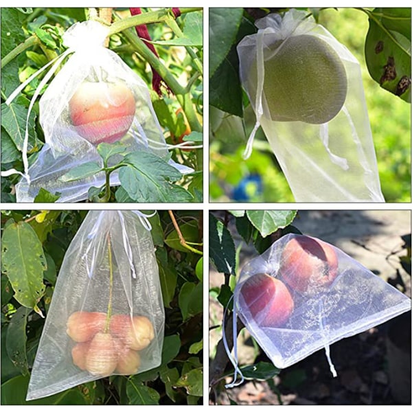 100 stk Bunch Protection Bag Grapefrukt Organza Bag-10*15cm-Hvit