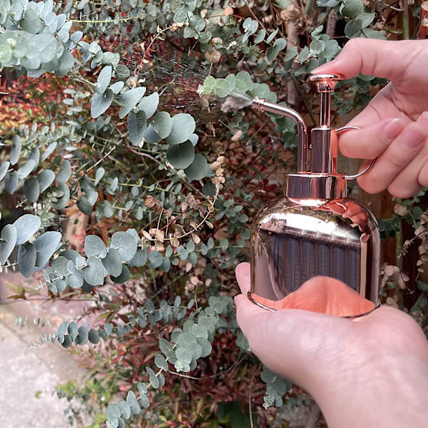 Rustfritt stål plante sprayflaske vanning 10oz/300ml rosegull