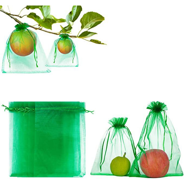 100 kpl nippu suojapussi greippi pussi-17*23cm-ruoho vihreä
