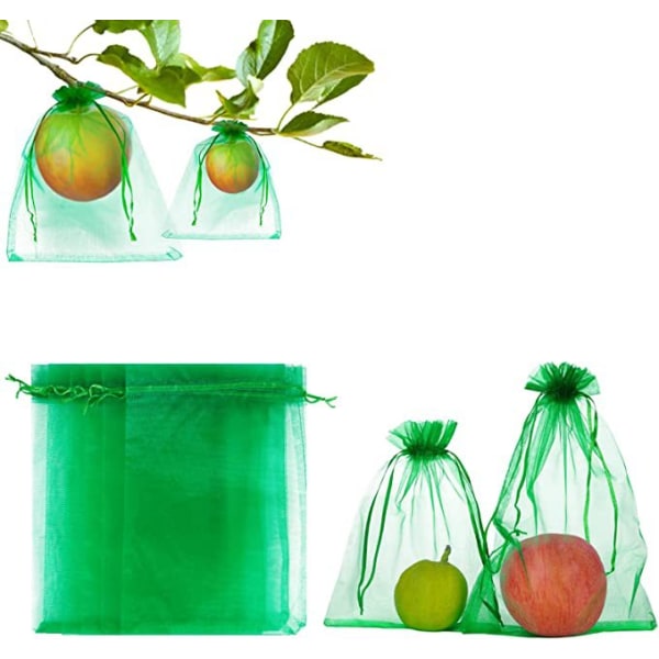 100st Bunch Protection Bag Grapefruktpåse-10*15cm-Gräsgrön