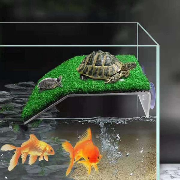 Sköldpadds akvarium simulerad gräsmatta viloplattform reptilramp