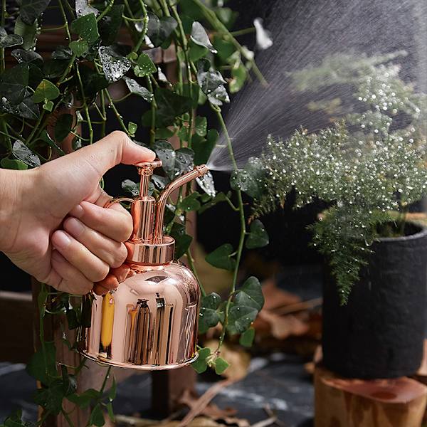 Rustfritt stål plante sprayflaske vanning 10oz/300ml rosegull
