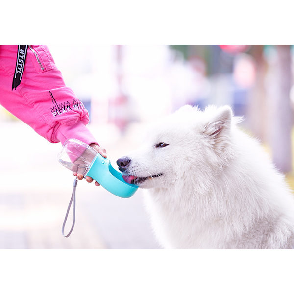 Hunde Vanddispenser, Kæledyr Vanddispenser, 550ml, Blå
