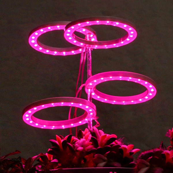 3 Ringe, Plant lampa 1-4 ring ljushuvud, fullt spektrum, dimbar,