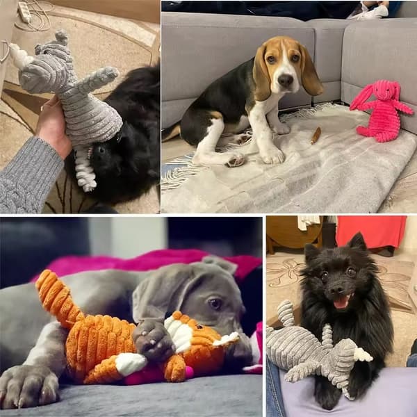 Plyschhundleksak Djurformade Bitsäkra Pimpelleksaker Manchesterhundleksaker för Små Stora Hundar Valp Husdjur Träningstillbehör Rabbit