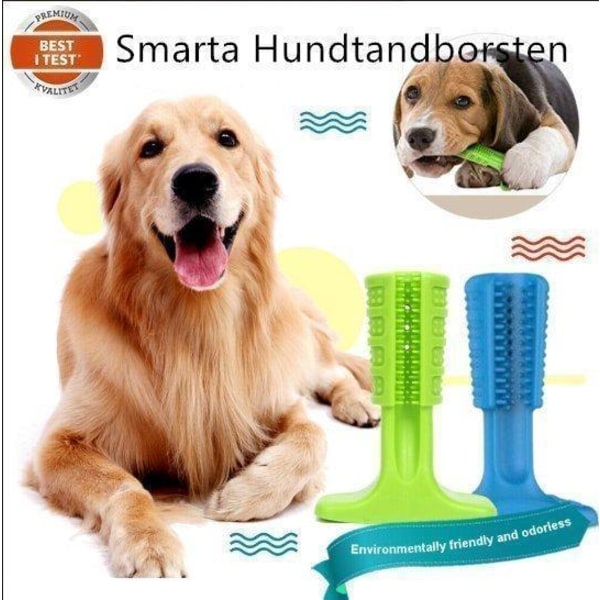 Doggystick - den smarta Tandborsten för Hund- Grön Blå