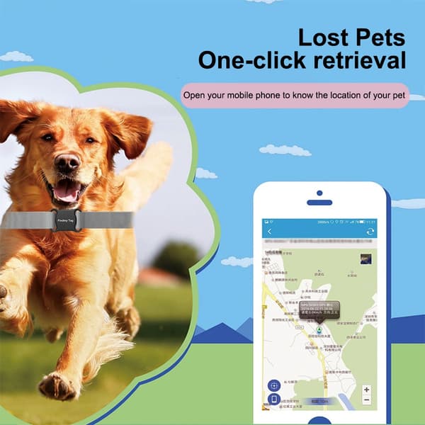 Bluetooth GPS Tracker til kæledyr, børn og bagage - Real-Time Location Finder til hunde, katte og mere Black