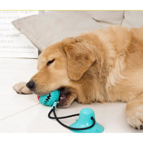 Multifunctional dog cat safe elastic cleaning teeth ball Blue Blue Model