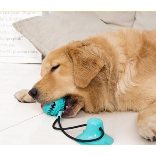 Multifunktionell hund katt säker elastisk rengöring tänder boll Blue Blue Model