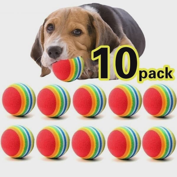 10 stk. kæledyrslegetøj Rainbow -10pcs