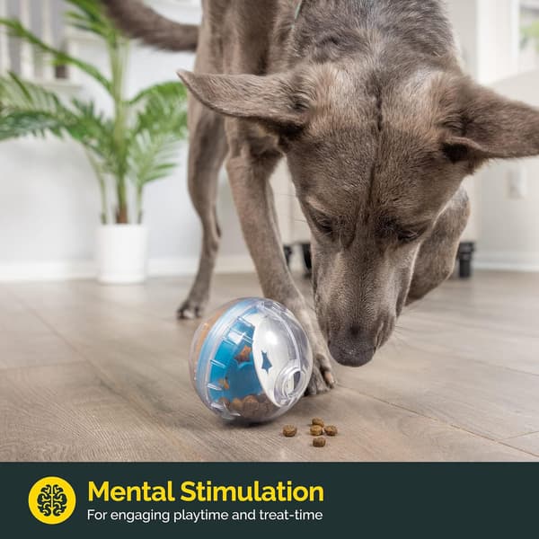 IQ Treat Ball Hundegodbidsdispenser Legetøjsbold Interaktiv Hundelegetøj - 10 cm Hundefoderstimulering, Langsom Foder Blue