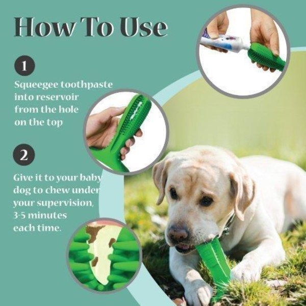 Doggystick - den smarta Tandborsten för Hund- Grön Blå
