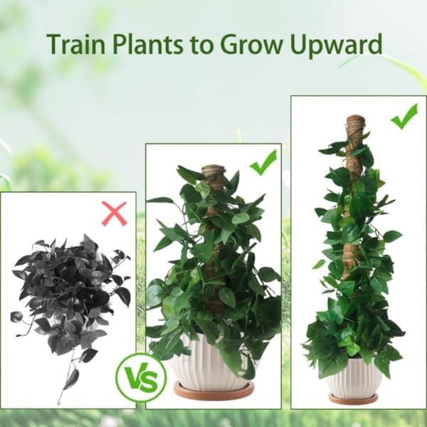 Bøjelig mosstang, klatrestøtte til planter, støttepæle til monstera-palmer, tilbehør til potteplanter til haven 1pcs Extendable 30cm