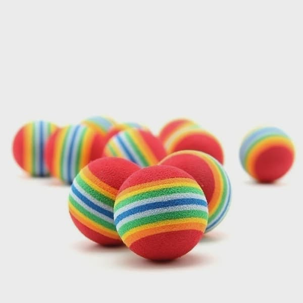 10 stk. kæledyrslegetøj Rainbow -10pcs