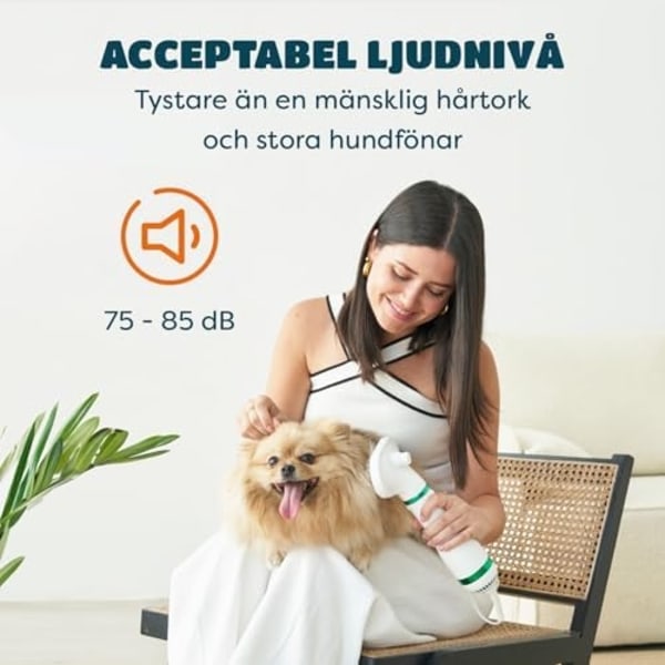 Lemmikkien hiustenkuivain 2 Slicker Brush Groomingilla kissoille ja koirille Green
