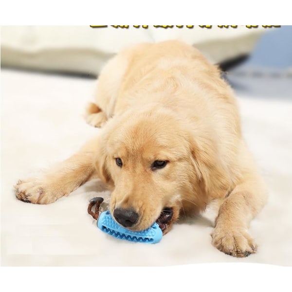 Doggystick - älykäs hammasharja koirille - Doggybrush