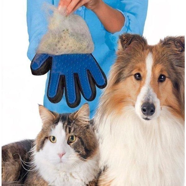 True Touch - Harjakäsine - Koira - Kissa Oikea käsi - Sininen Blue