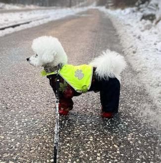 HUND REFLEXVÄST Feel Active Reflective Storlek S,M,L Storlek L