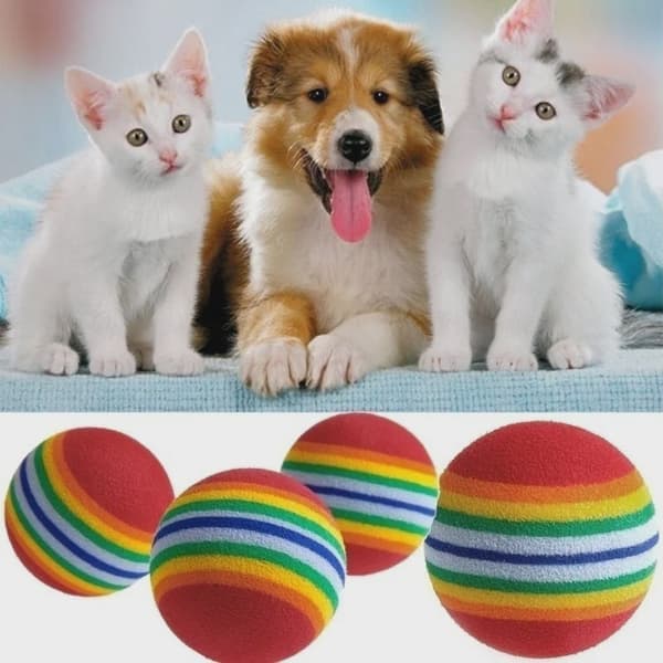 10 stk. kæledyrslegetøj Rainbow -10pcs