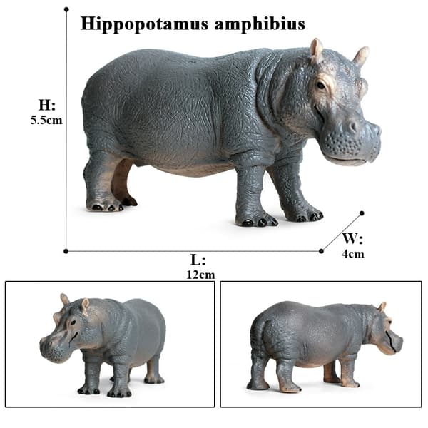 #ERROR! rhino model 13