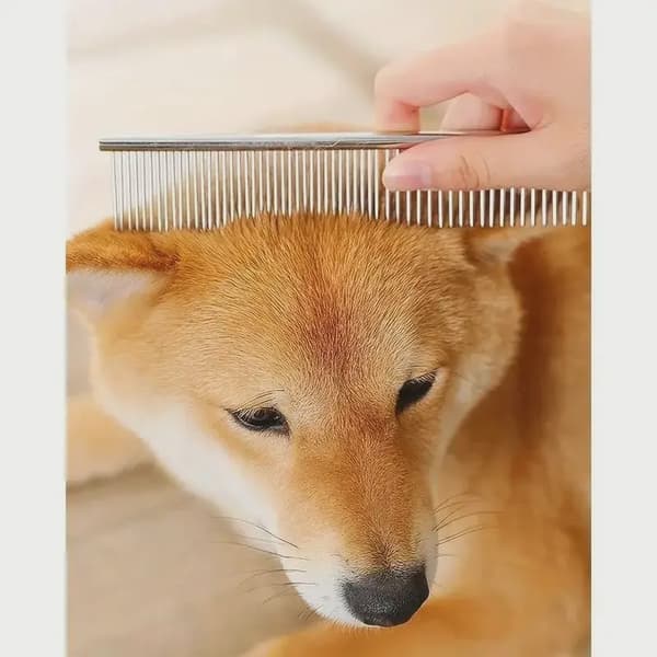 Ambidextrous kæledyrssikker saks i rustfrit stål til hunde med rundt hoved til præcisionstrimning Down Curved Scissors