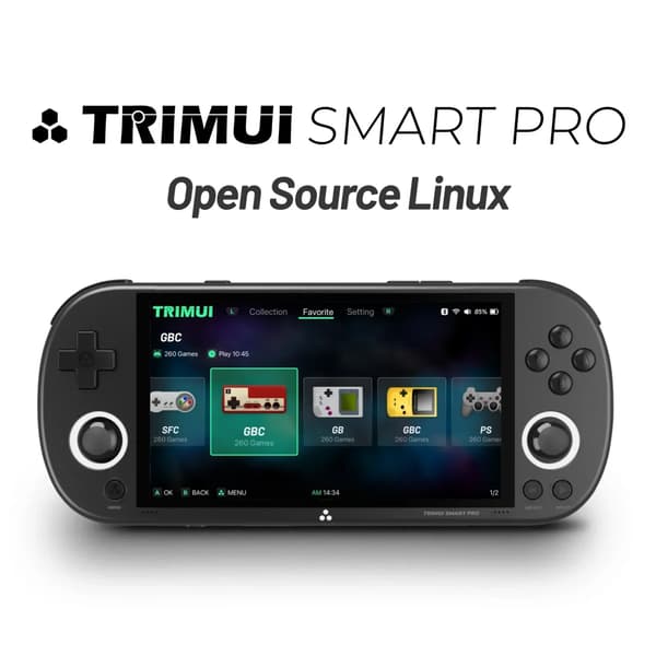 Trimui Smart Pro Handheld Game Console 4,96''IPS-skärm Linux System Joystick RGB-belysning Smartpro Retro Grey 64G(8K Games)